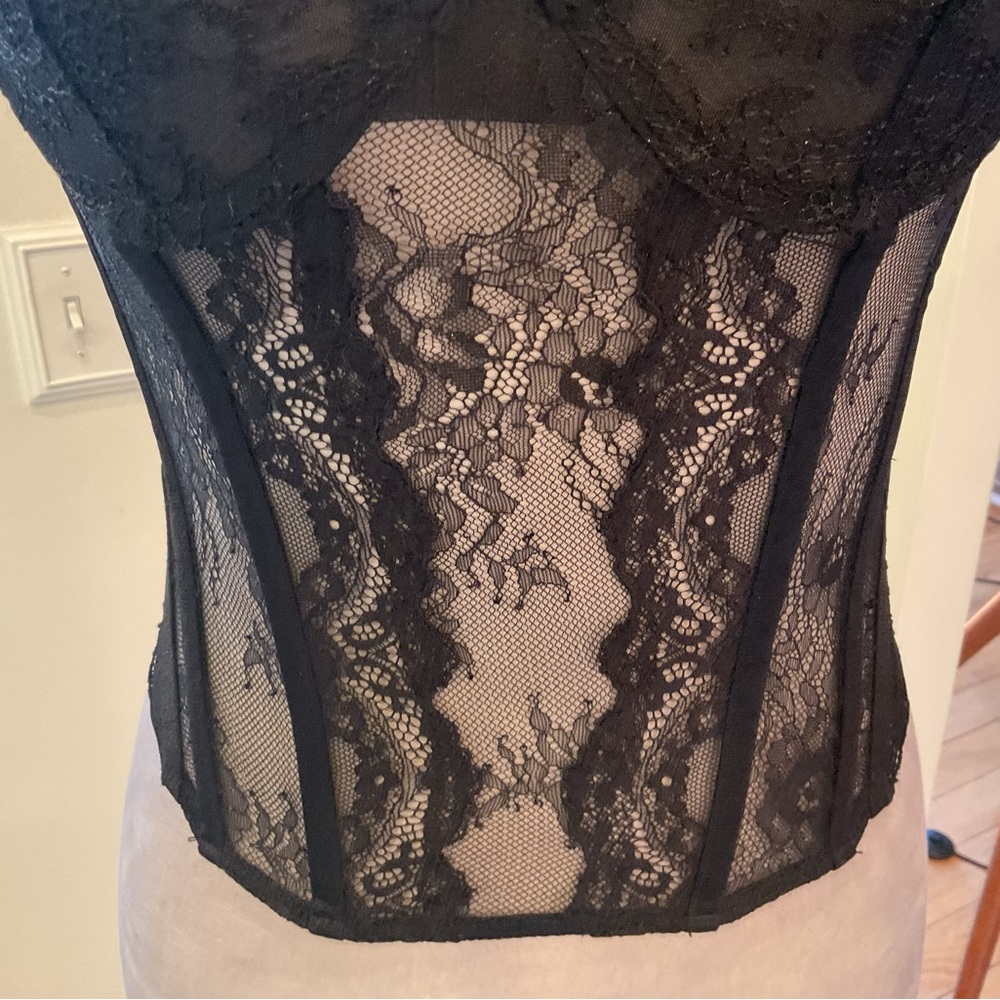 Lioness Black Sheer Lace Bustier Tank - Picture 4 of 13